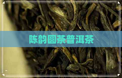 陈韵圆茶普洱茶