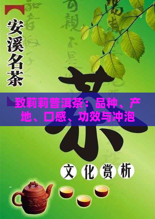 致莉莉普洱茶：品种、产地、口感、功效与冲泡方法全面解析