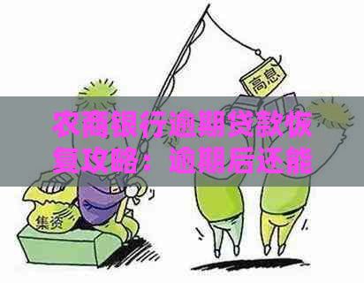 农商银行逾期贷款恢复攻略：逾期后还能再次申请吗？