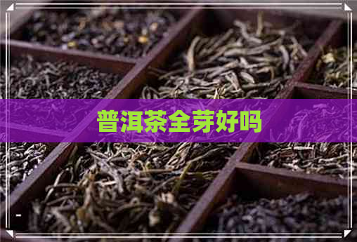 普洱茶全芽好吗