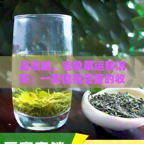 品质越，吉象藏运普洱茶：一款值得品鉴的收藏佳品