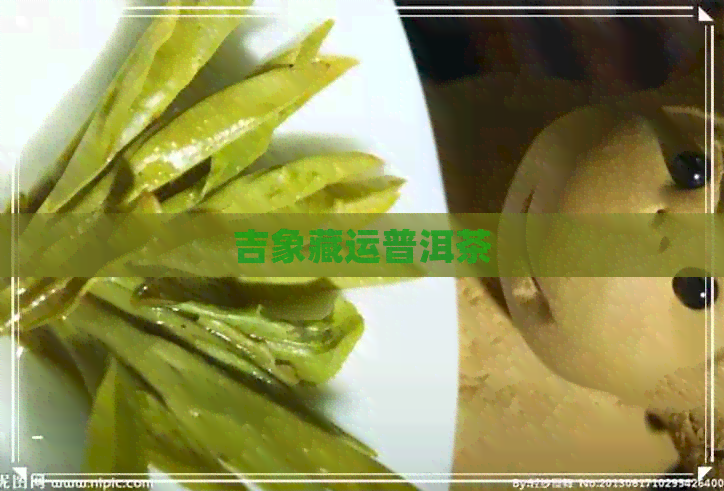 吉象藏运普洱茶