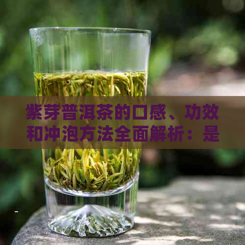 紫芽普洱茶的口感、功效和冲泡方法全面解析：是否值得一试？