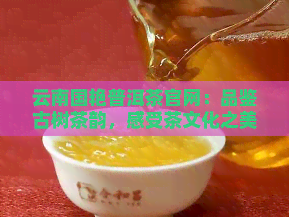 云南国艳普洱茶官网：品鉴古树茶韵，感受茶文化之美