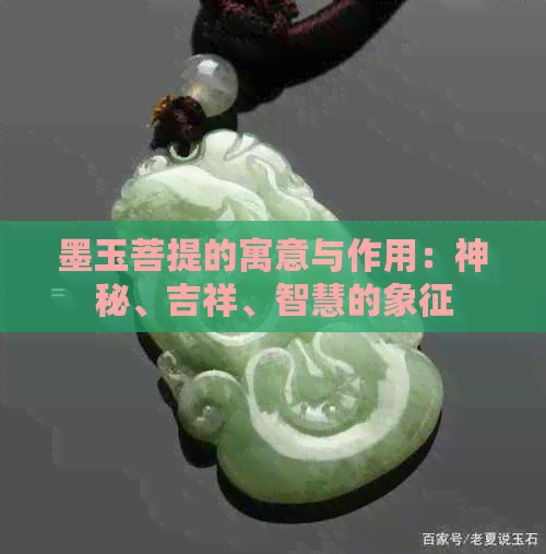 墨玉菩提的寓意与作用：神秘、吉祥、智慧的象征