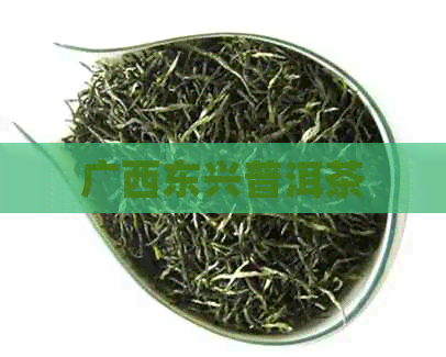 广西东兴普洱茶