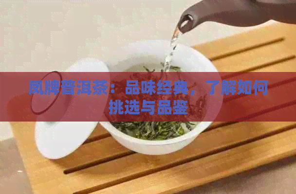 凤牌普洱茶：品味经典，了解如何挑选与品鉴