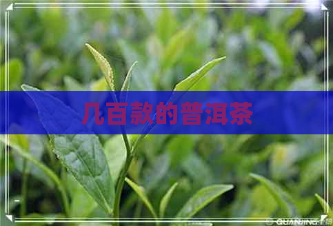 几百款的普洱茶