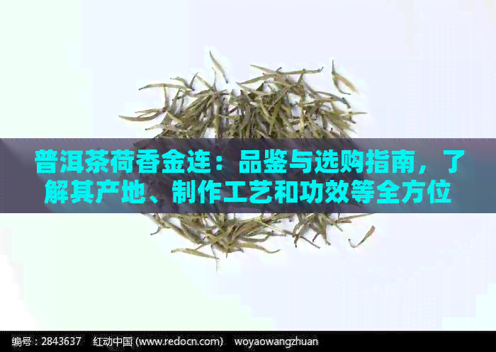 普洱茶荷香金连：品鉴与选购指南，了解其产地、制作工艺和功效等全方位信息