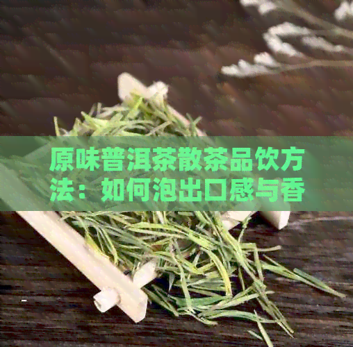 原味普洱茶散茶品饮方法：如何泡出口感与香气？