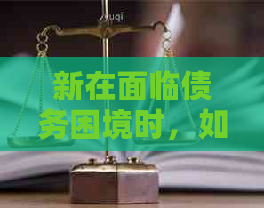 新在面临债务困境时，如何应对去哪儿网的借款无法偿还的问题？