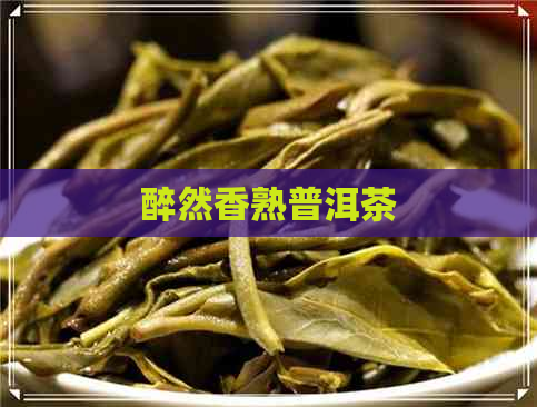 醉然香熟普洱茶