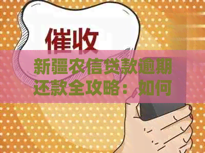 新疆农信贷款逾期还款全攻略：如何处理、逾期后果及解决方法一文解析