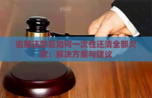 逾期还款后如何一次性还清全部欠款：解决方案与建议