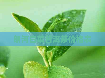 朗河白菜普洱茶价格表