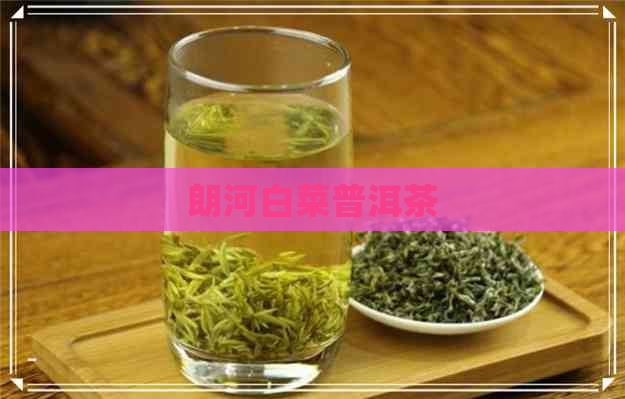 朗河白菜普洱茶