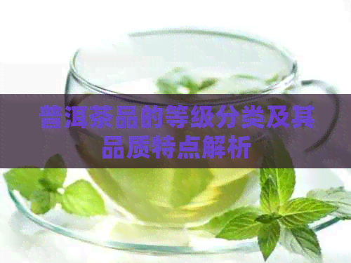 普洱茶品的等级分类及其品质特点解析