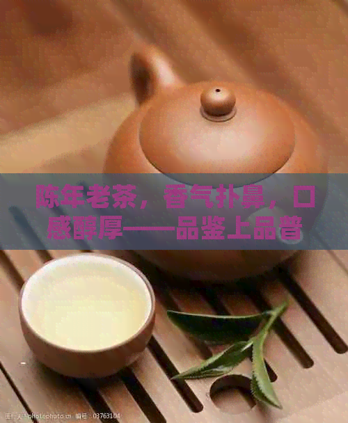 陈年老茶，香气扑鼻，口感醇厚——品鉴上品普洱茶的魅力