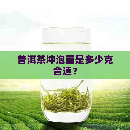 普洱茶冲泡量是多少克合适？