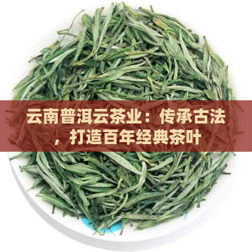 云南普洱云茶业：传承古法，打造百年经典茶叶