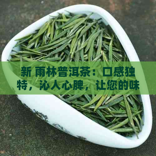 新 雨林普洱茶：口感独特，沁人心脾，让您的味蕾尽享宴