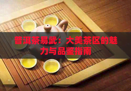 普洱茶易武：大美茶区的魅力与品鉴指南