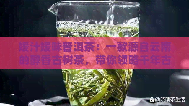 媛汁媛味普洱茶：一款源自云南的醇香古树茶，带你领略千年古树的独特韵味