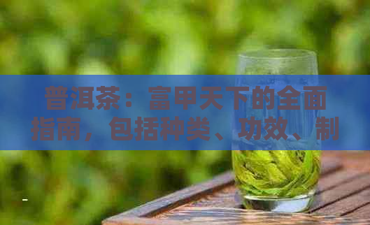 普洱茶：富甲天下的全面指南，包括种类、功效、制作工艺与品鉴方法