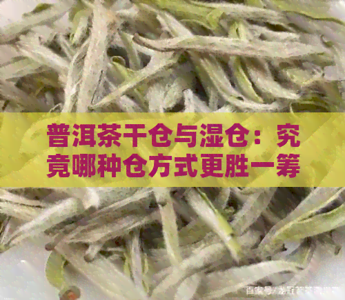 普洱茶干仓与湿仓：究竟哪种仓方式更胜一筹？