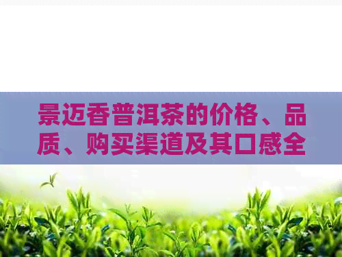 景迈香普洱茶的价格、品质、购买渠道及其口感全方位解析