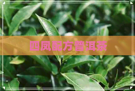 四凤配方普洱茶