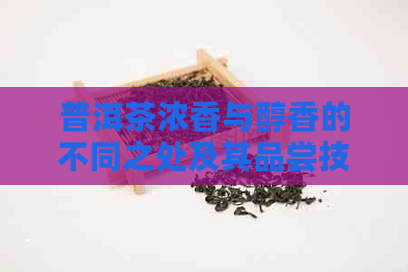 普洱茶浓香与醇香的不同之处及其品尝技巧