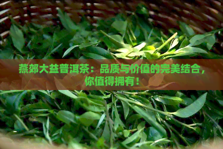 燕郊大益普洱茶：品质与价值的完美结合，你值得拥有！