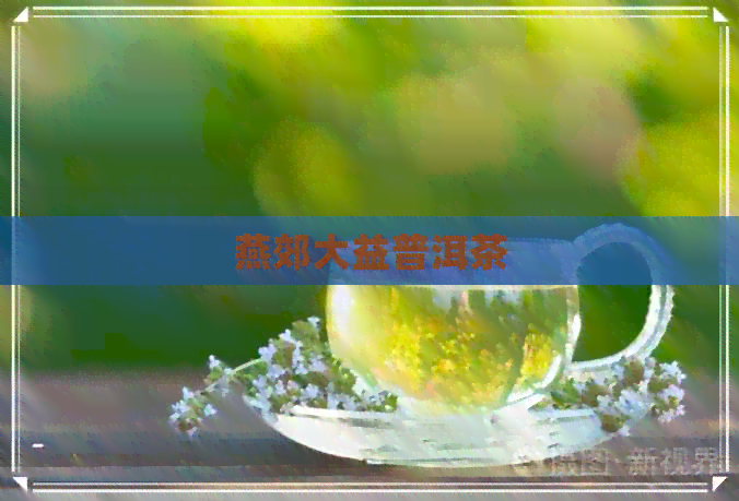 燕郊大益普洱茶