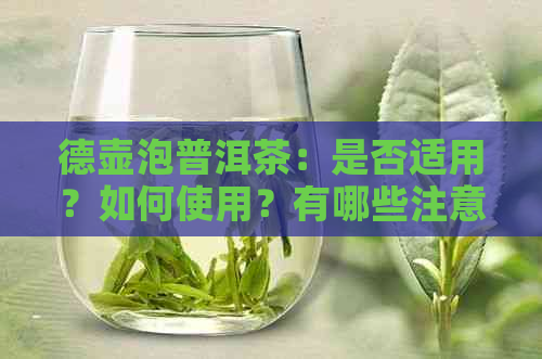 德壶泡普洱茶：是否适用？如何使用？有哪些注意事项？