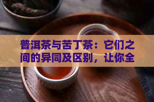 普洱茶与苦丁茶：它们之间的异同及区别，让你全面了解这两种茶类