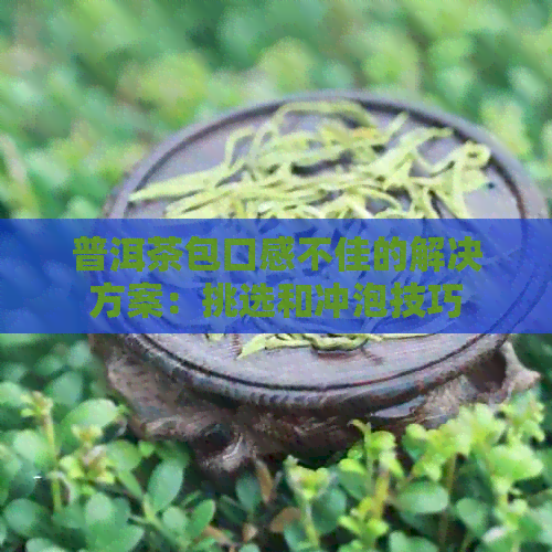 普洱茶包口感不佳的解决方案：挑选和冲泡技巧