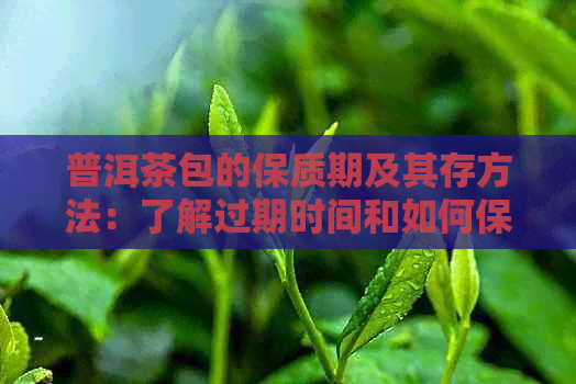 普洱茶包的保质期及其存方法：了解过期时间和如何保存以保持茶叶的品质