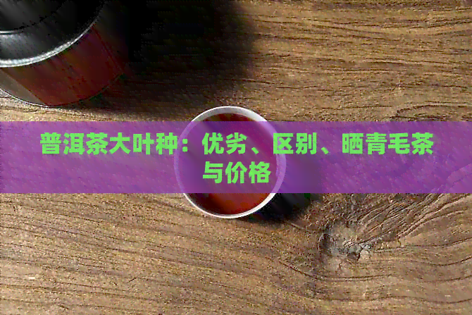 普洱茶大叶种：优劣、区别、晒青毛茶与价格