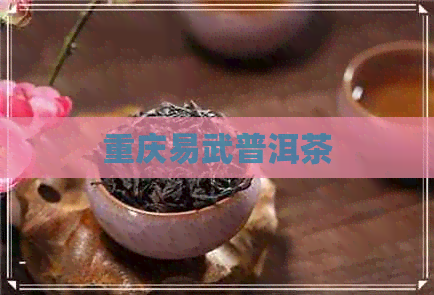 重庆易武普洱茶