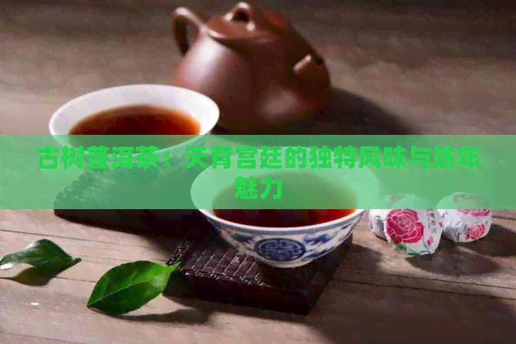 古树普洱茶：天育宫廷的独特风味与陈年魅力