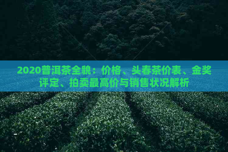 2020普洱茶全貌：价格、头春茶价表、金奖评定、拍卖更高价与销售状况解析