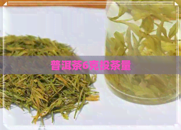 普洱茶6克投茶量