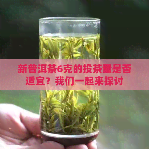 新普洱茶6克的投茶量是否适宜？我们一起来探讨