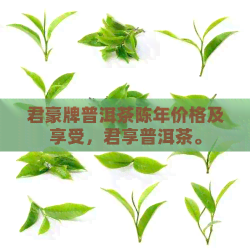 君豪牌普洱茶陈年价格及享受，君享普洱茶。