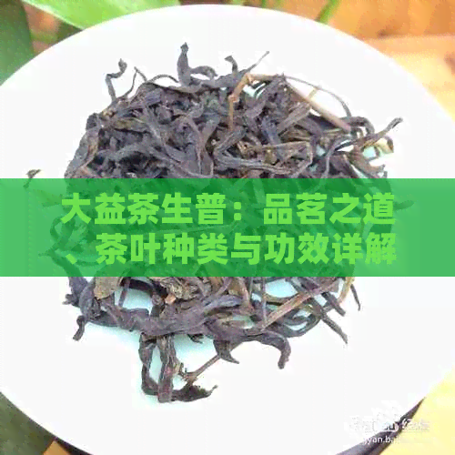 大益茶生普：品茗之道、茶叶种类与功效详解，助您挑选适合的茶叶