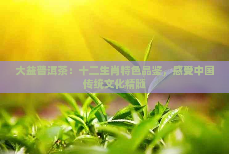 大益普洱茶：十二生肖特色品鉴，感受中国传统文化精髓