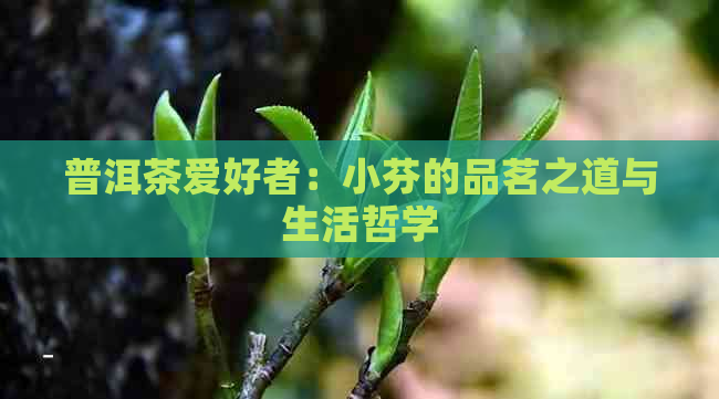 普洱茶爱好者：小芬的品茗之道与生活哲学