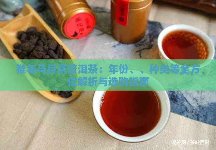 猴年马月茶普洱茶：年份、、种类等全方位解析与选购指南