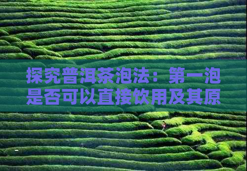 探究普洱茶泡法：之一泡是否可以直接饮用及其原因